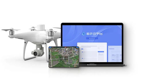 奇志科技入选中国金茂-海尔海创汇加速营，以数据处理服务赋能地产科技新未来